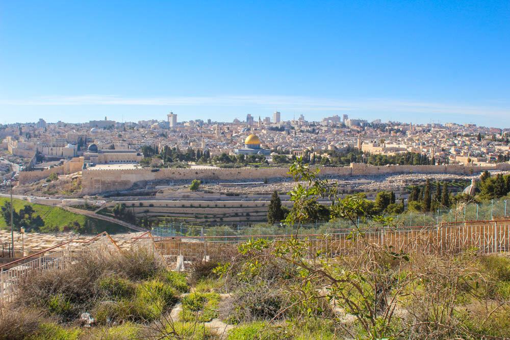 View from the Mount of Olives