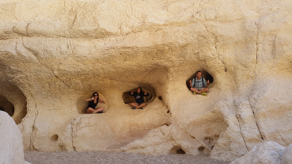 greenbackpackers.jpg