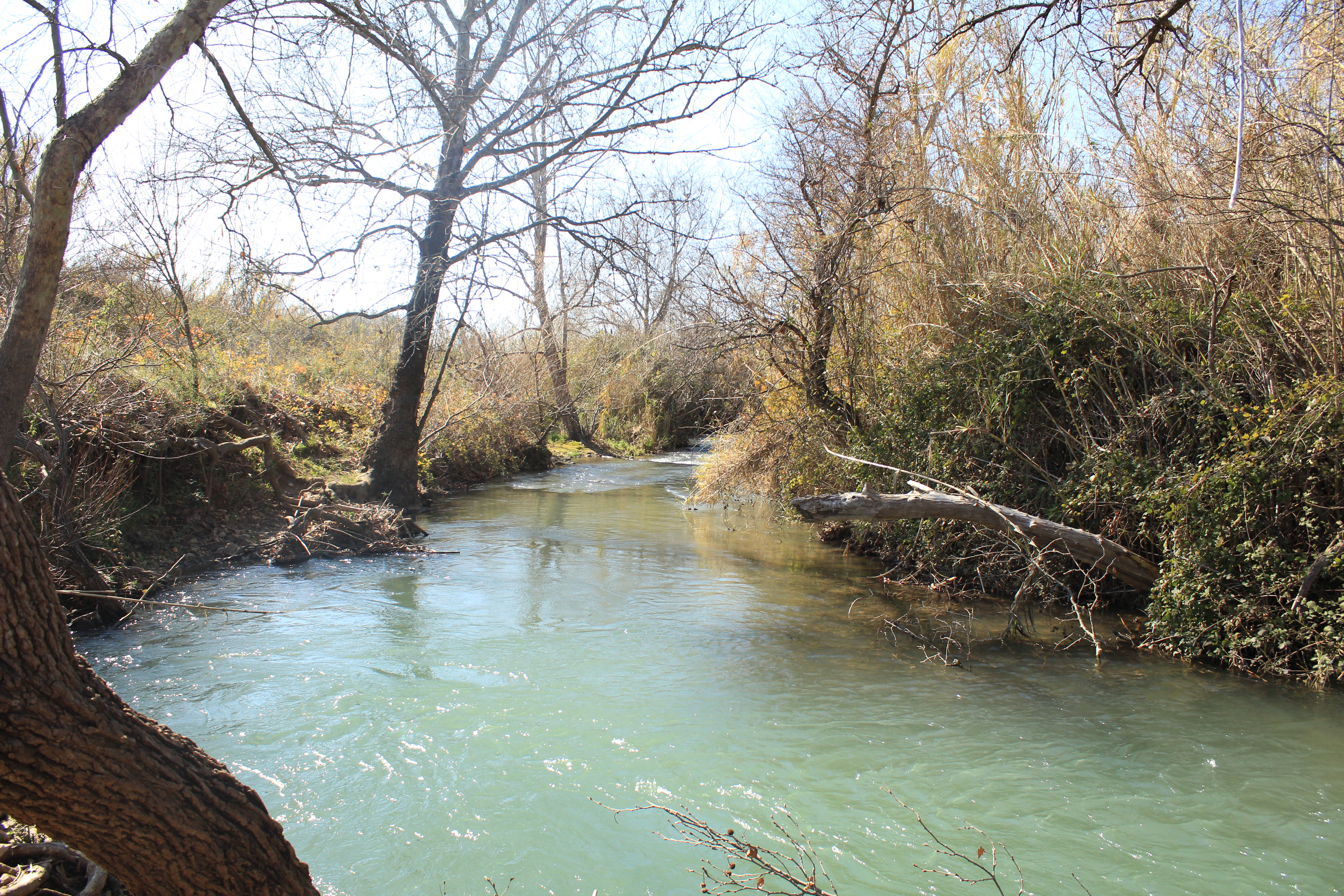 A hidden stream in the Golan Heights