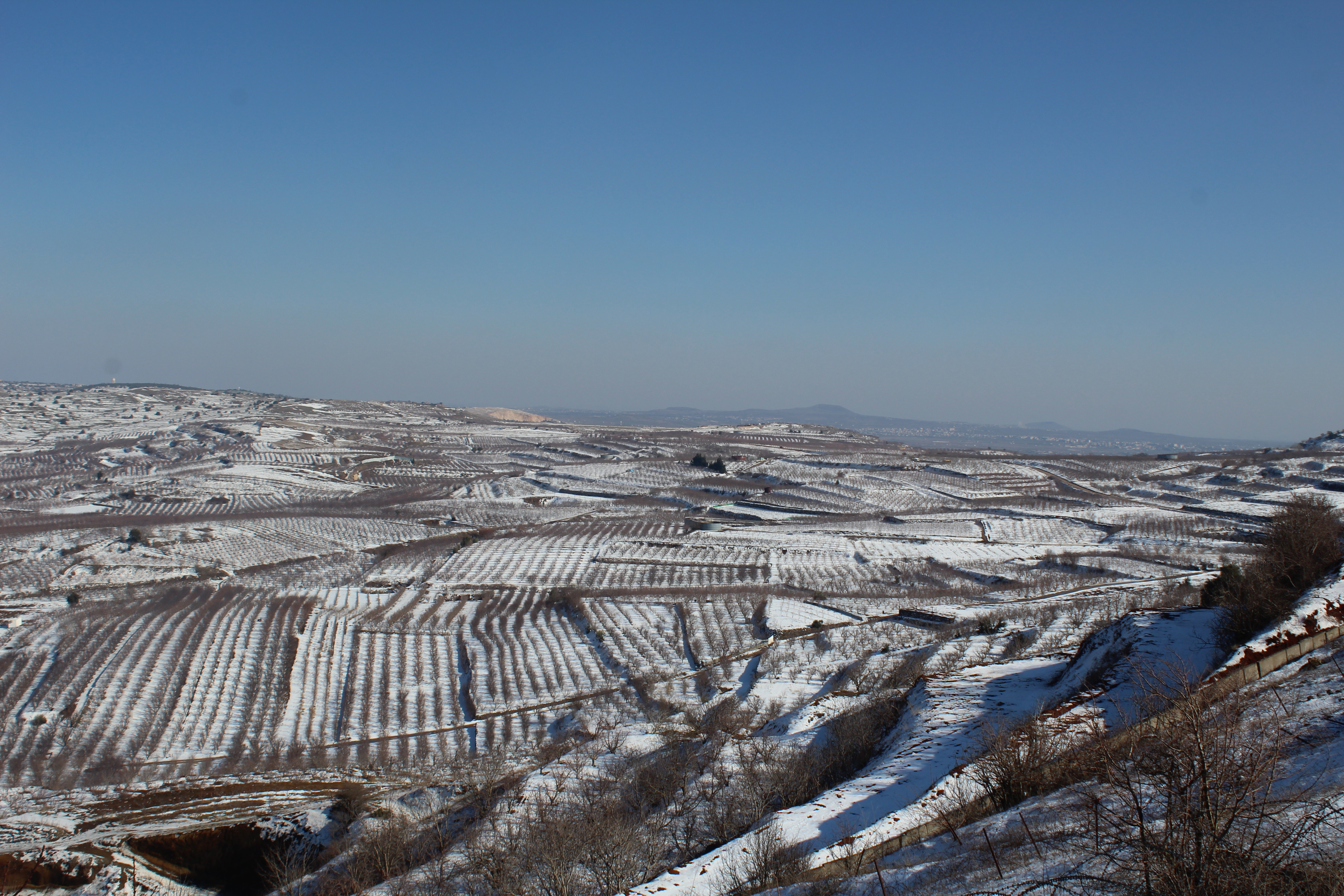 Syria