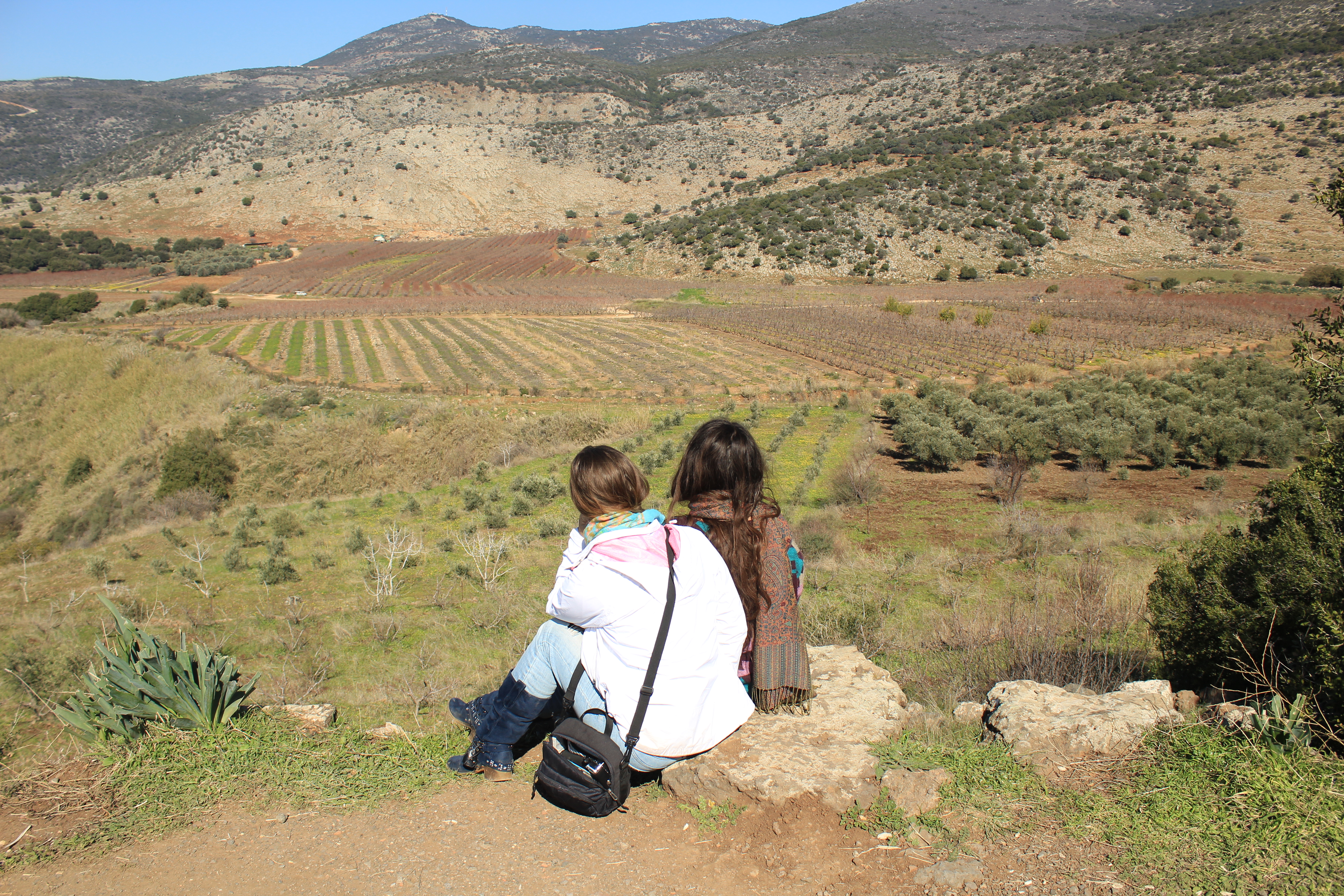 Watching the beautiful Golan Heights
